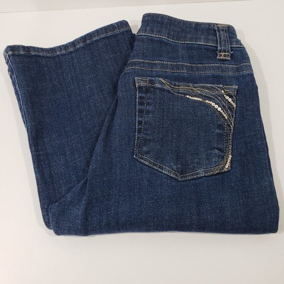 Lee Denim - Lee Slender Secret Lower on the Waist Jeans Size 8 Short